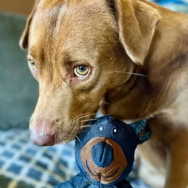 PELUCHE TITAN INDESTRUCTIBLE