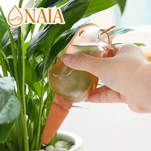 Riego Automatico para Plantas | 5 UNIDADES