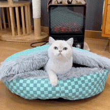 GIF